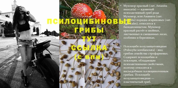 марки nbome Арсеньев