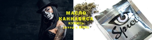 гидра Армянск