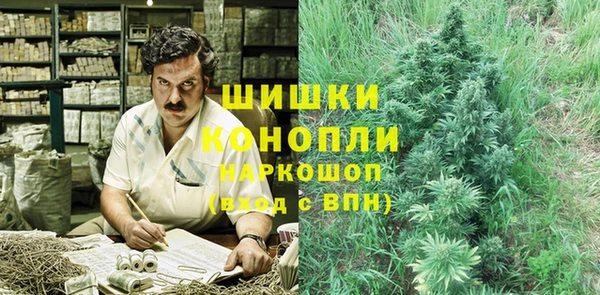 гидра Армянск