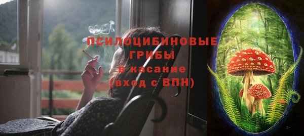 гидра Армянск